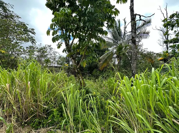 Ohia Dr Lot 18, Pahoa, HI 96778