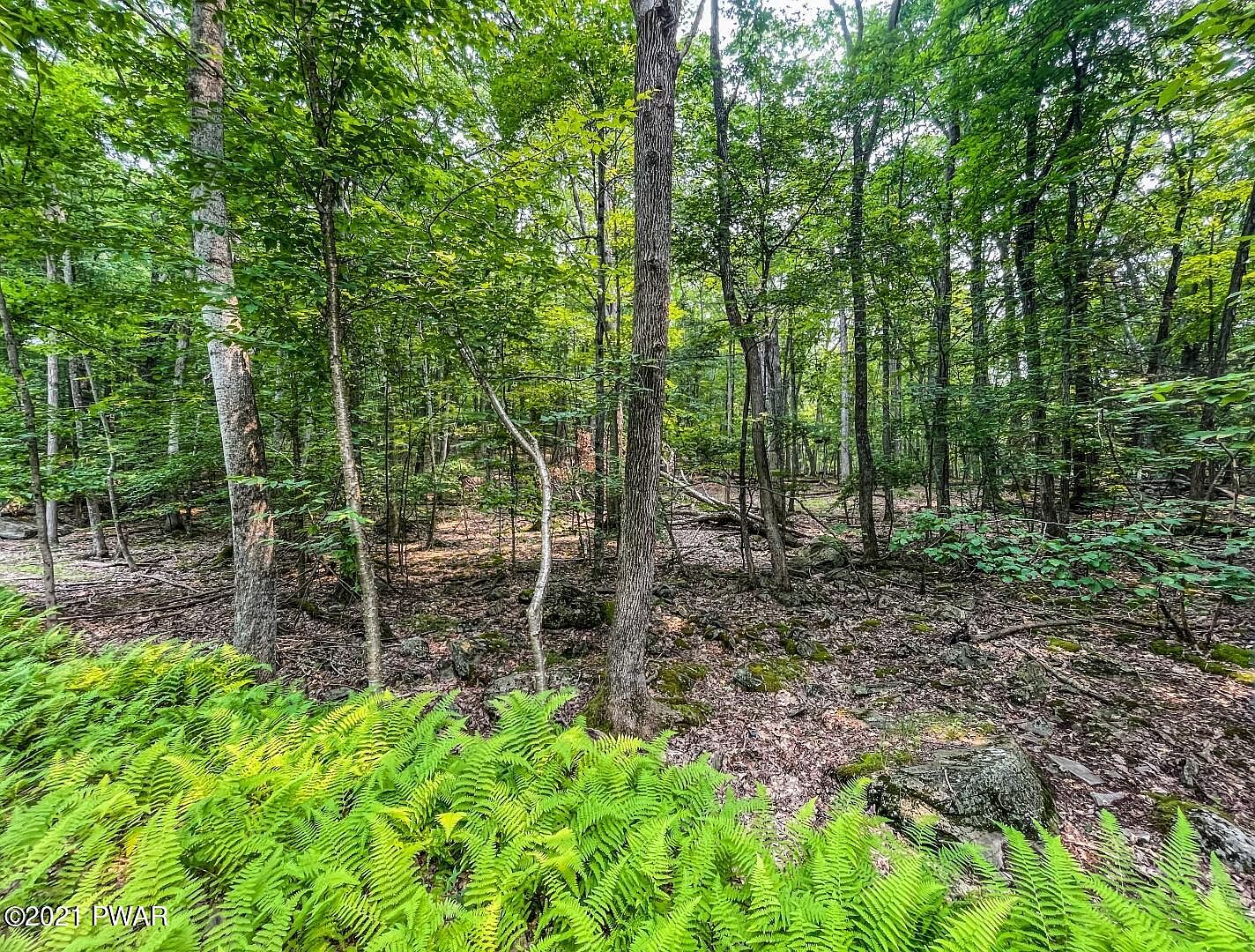 LOT 683 Paper Birch N, Tafton, PA 18464 MLS 212846 Zillow