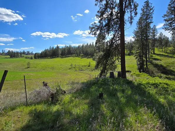 22XX E Miller Rd, Spangle, WA 99031