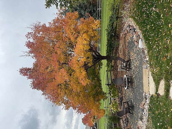 Fall Time