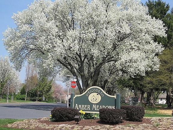 Welcome to Amber Meadows