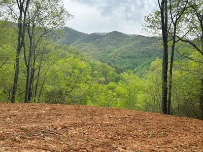 8 Blackberry Run, Bryson City, NC, 28713