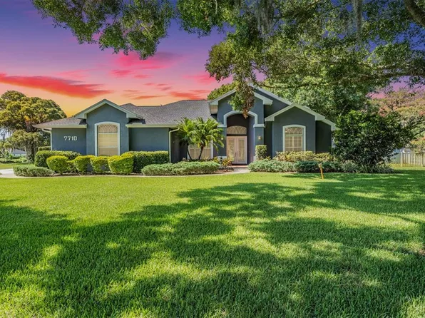 7710 Rosa Maria Ln, Odessa, FL 33556