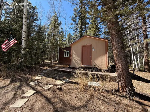 249 Gold Dust Creek Rd, Florissant, CO 80816