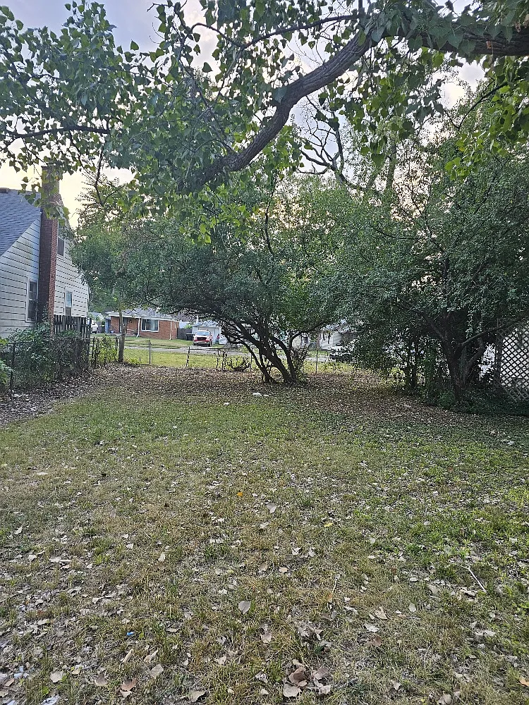 3 bed, 1000 sqft, $1,150 — Photo 3