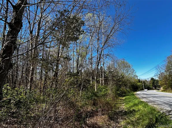 Bullshead Road, Clinton Corners, NY 12514