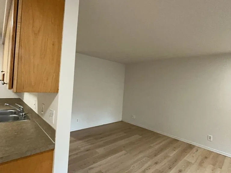 Viking Suites — Photo 3