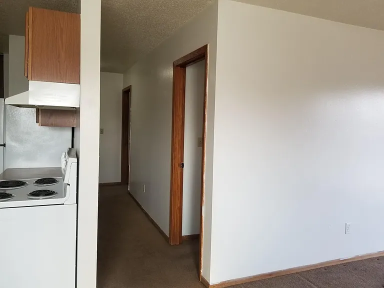 1201 3rd Ave N #301 — Photo 6