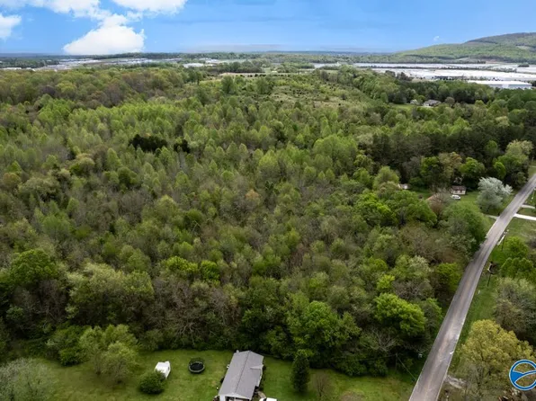 77 ACRES Carters Gin Rd, Toney, AL 35773