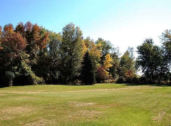 Big yard!