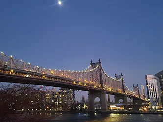 Rented by Bond New York