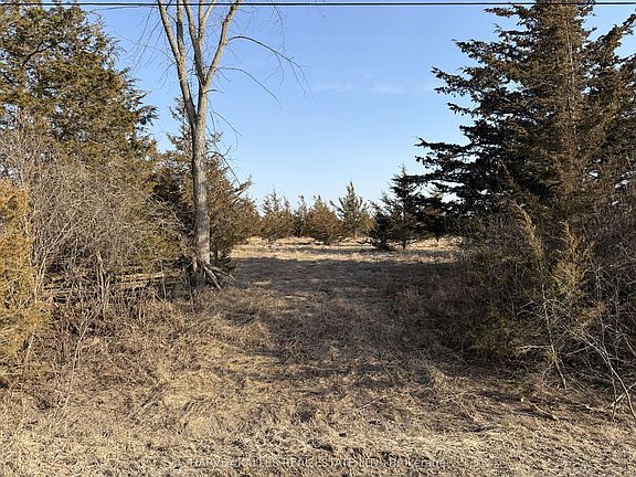 4th image of LOT 63 Oram Rd