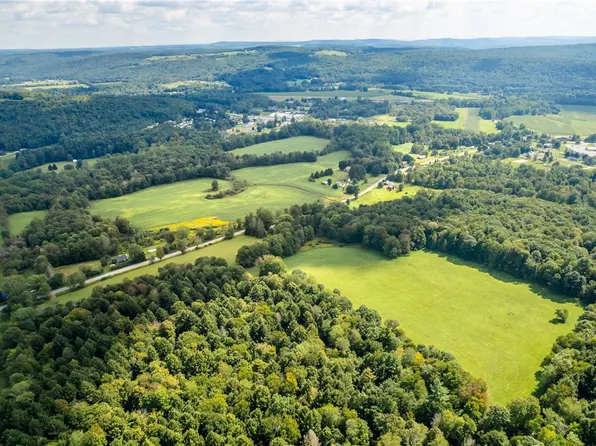 229 County Road 2 Parcel A, Greene, NY 13778