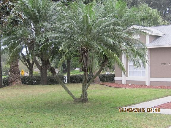 2nd image of 11416 Crescent Pines Blvd
