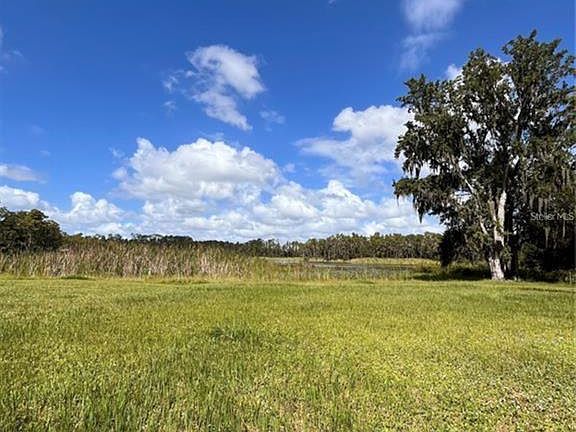 5th image of 1029 Van Dyke Rd Lot 56950