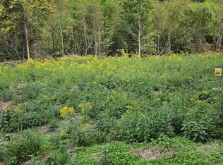 0 Township Rd #R-135, South Pt, OH 45680