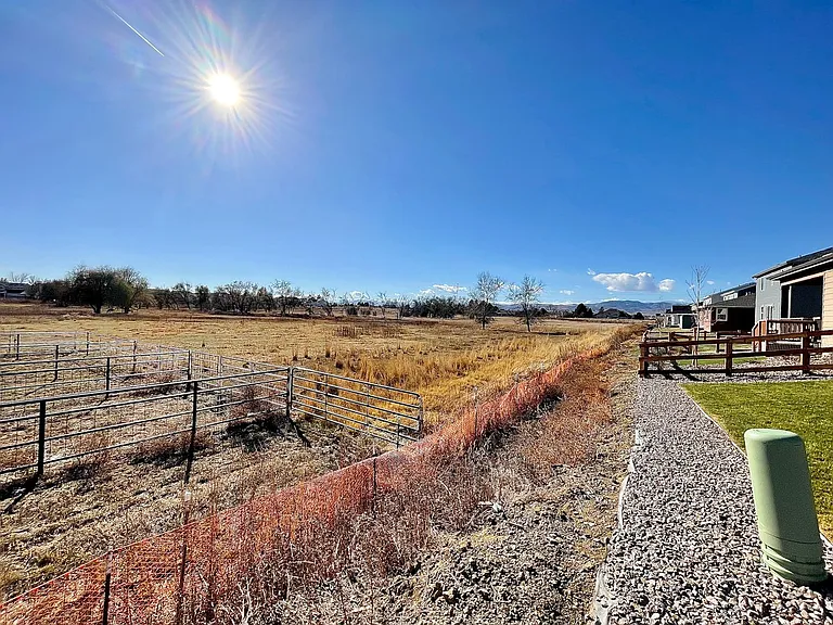1733 Dancing Cattail Dr — Photo 26