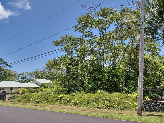 4th image of Opakapaka St Lot 1678