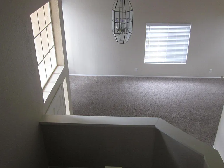 27542 Dandelion Ct — Photo 16
