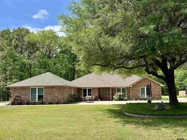 20 County Road 2938 S, Pittsburg, TX 75686