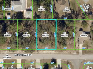 0 Auburndale St, Spring Hill, FL 34609