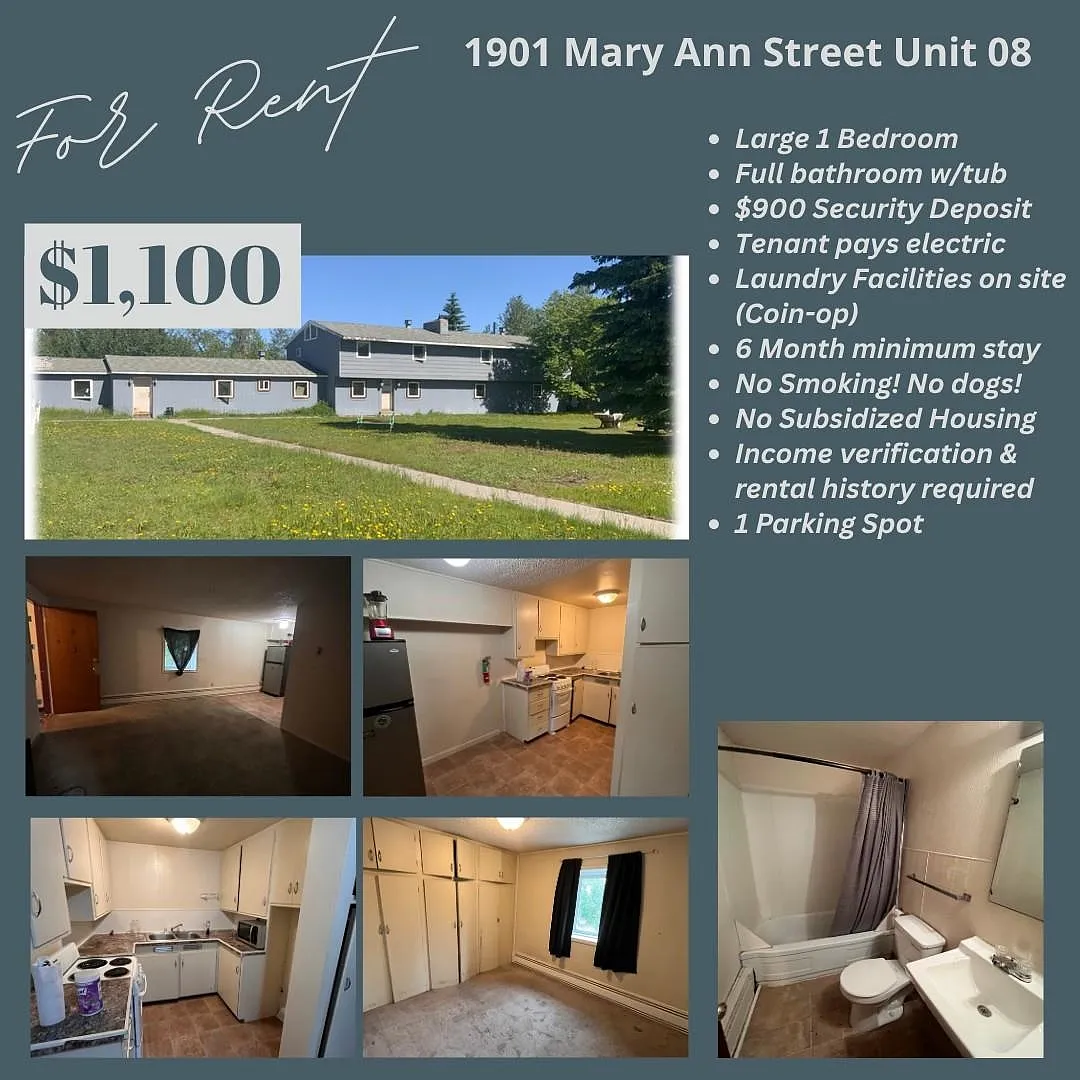 1 bed, $1,100 — Photo 1