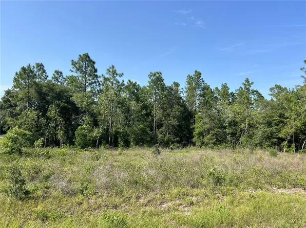 NE 150th Ave Lot 16, Williston, FL 32696