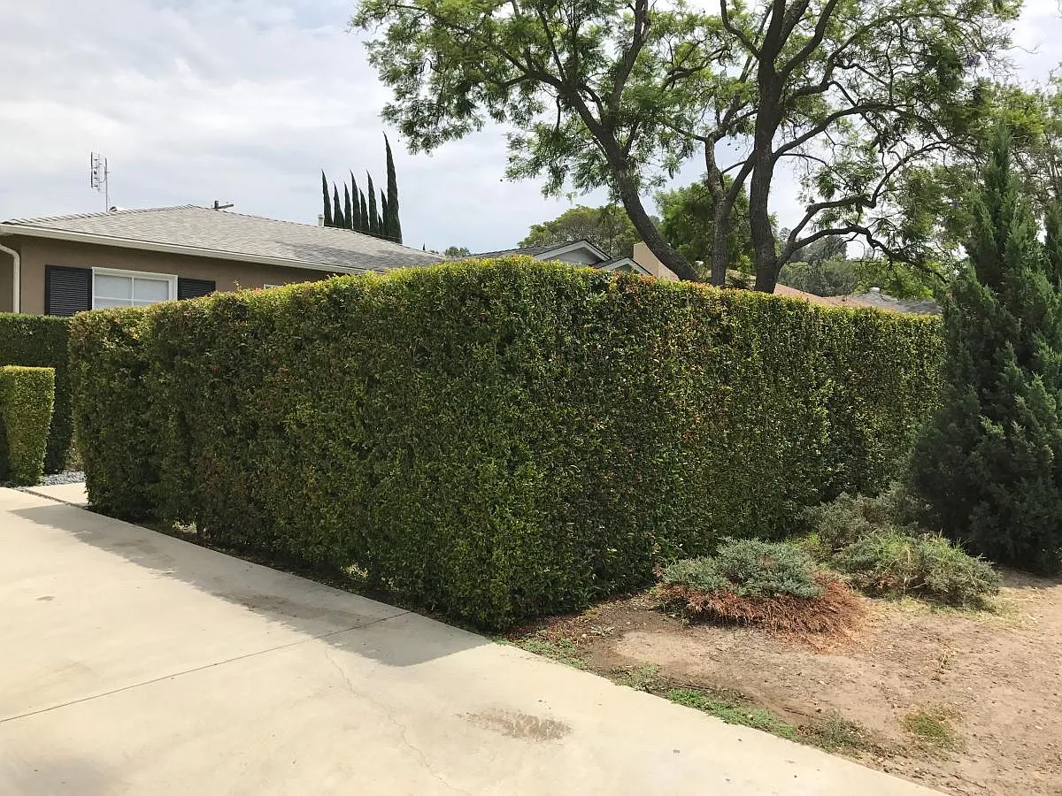 4012 Coldwater Canyon Avenue — Photo 4