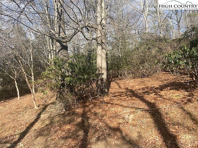 2nd image of 106 Laurel Drive