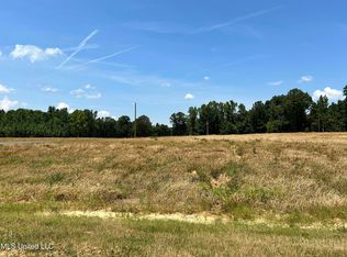 24 Riverwood Cv N, Lake Cormorant, MS 38641