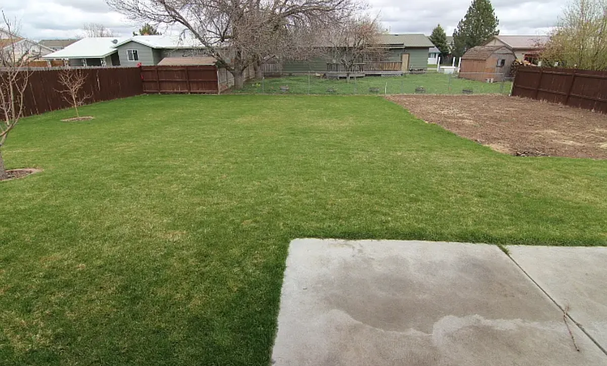Back Yard - 3705 E Lorna Ave