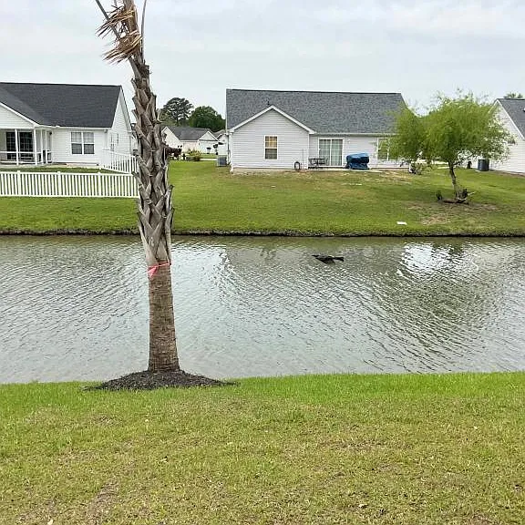 157 Ella Kinley Cir #101 — Photo 22