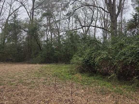 5th image of 526 S Caroline