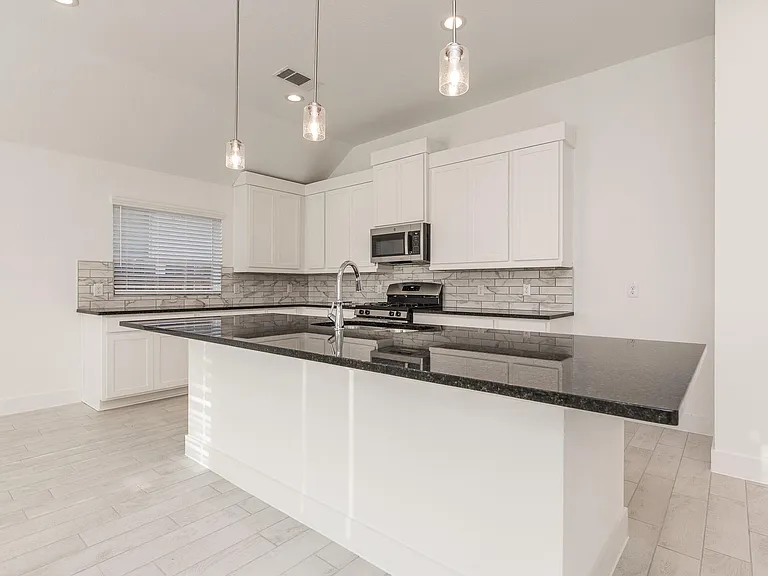 4802 Seabourne Landing Dr — Photo 11