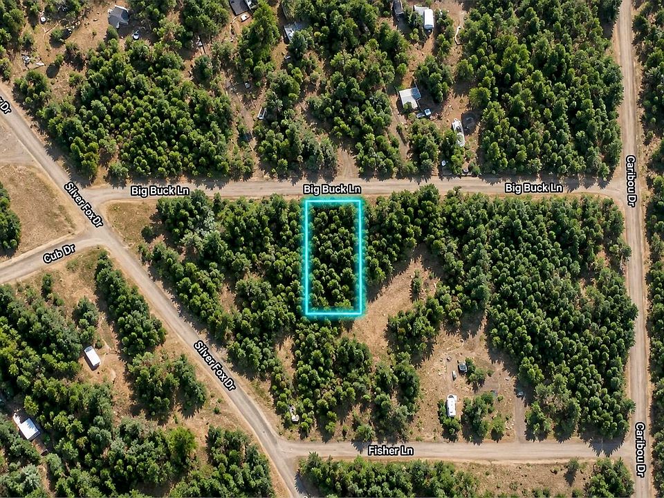 7th image of 16331 Big Buck Ln