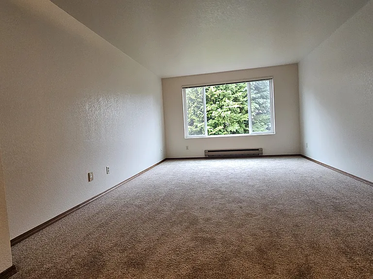 Top of the Lake Apartments — Photo 8