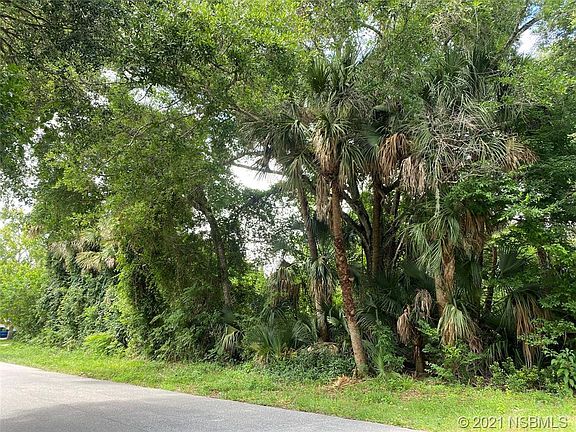 4th image of 0 Sabal Palm Dr