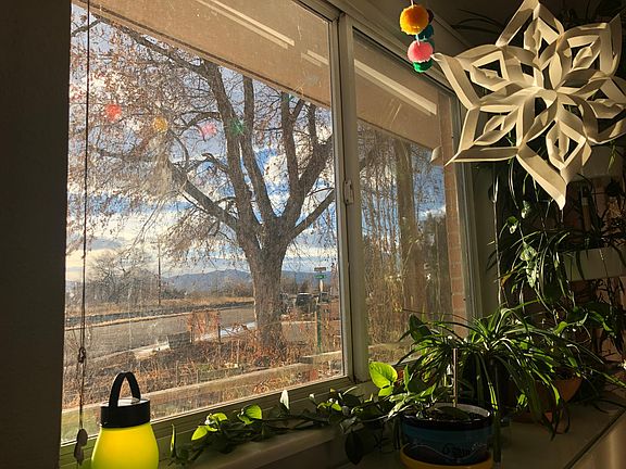 Living room picture window, southwest face, with mountain views.