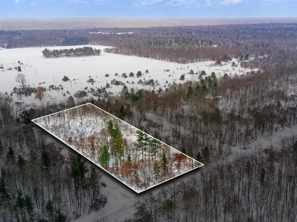 0 N Dagget Rd, Howard City, MI 49329