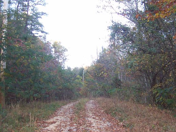 Exterior Neighborhood (street photo)