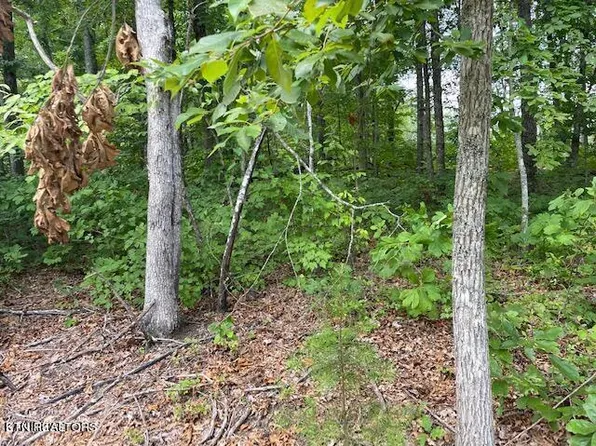 2043 Iowa Dr, Crossville, TN 38572