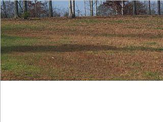 2nd image of 230 Highwater Rd