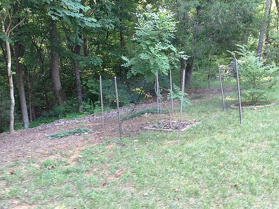 Privacy/wildlife/lanscape