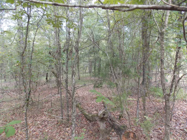 34 WOOD DUCK, Lincolnton, GA 30817