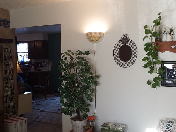 5th image of 114 Kendall Dr