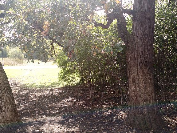 View from sliding doors