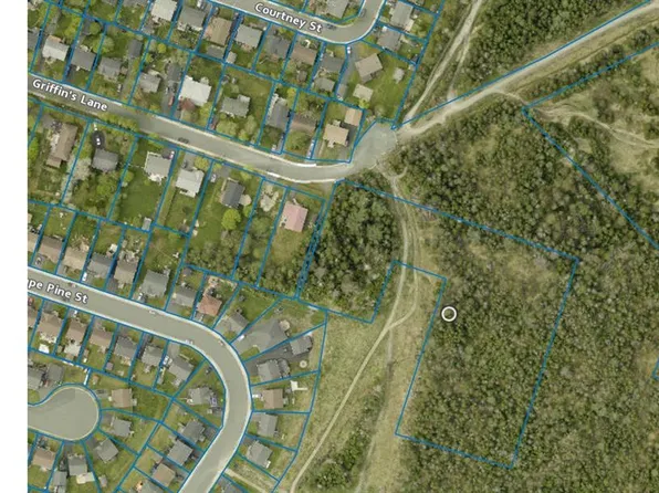 36 Griffins Lane, St. John's, NL A1G1MG