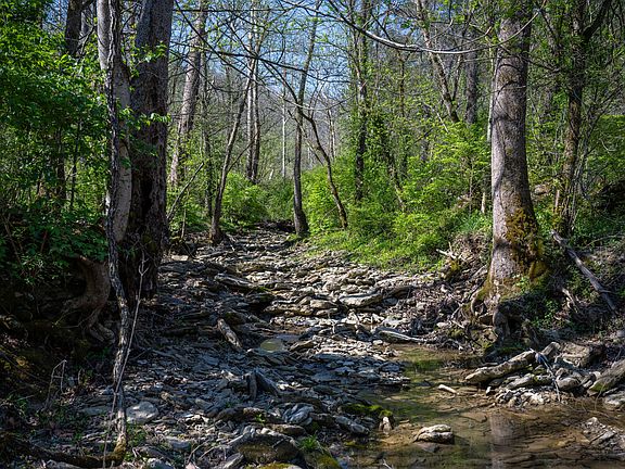 4th image of 674 Bill Layton Rd
