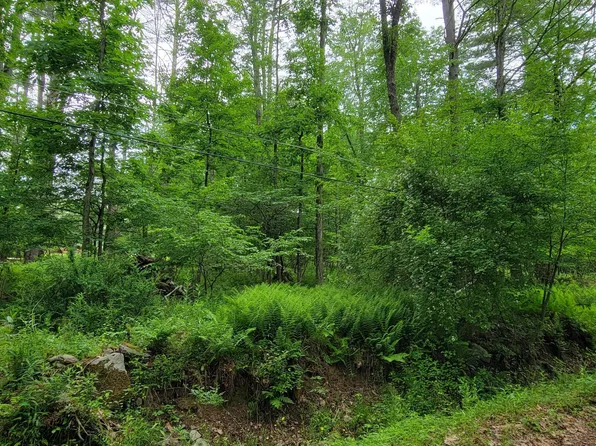 159 Lake Country Ln, Narrowsburg, NY 12764