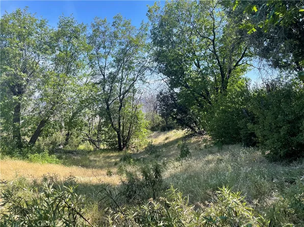 363 Raccoon Rd, Berry Creek, CA 95916